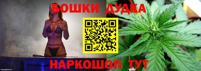 дмт Будённовск