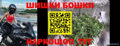 дмт Будённовск