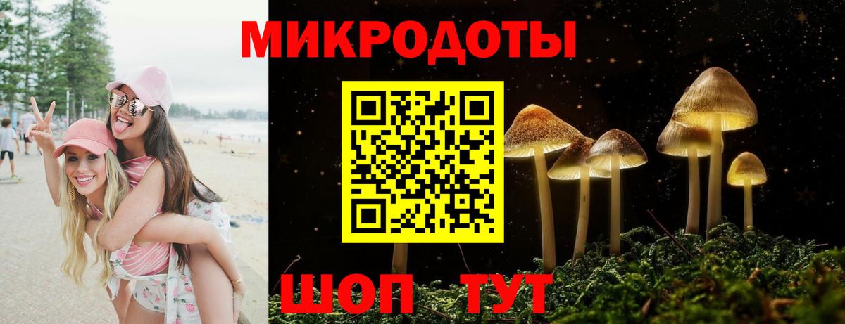 Семёнов  Псилоцибиновые грибы MAGIC MUSHROOMS  Вход с VPN 
